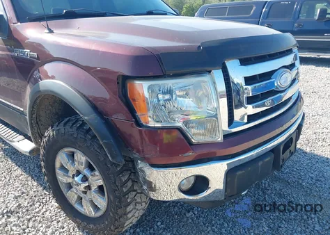 2009 Ford F-150 Stx/Xl/Xlt from USA, damaged, VIN 1FTRX14859FA37340